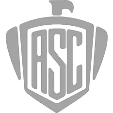 Arsenal Logo