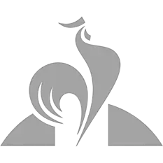 Arsenal Logo